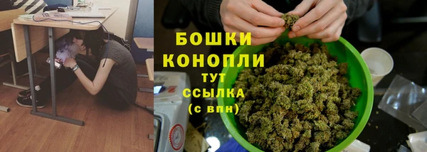 дживик Каменск-Шахтинский