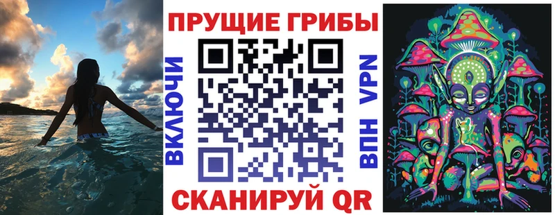 Купить закладки  Асино  Псилоцибиновые грибы ЛСД 